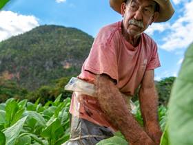 5 Day Cuba Tour - Havana Weekend (+ Viñales) 5 Day Cuba Tour - Havana Weekend (+ Viñales)