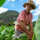 5 Day Cuba Tour - Havana Weekend (+ Viñales) 5 Day Cuba Tour - Havana Weekend (+ Viñales)