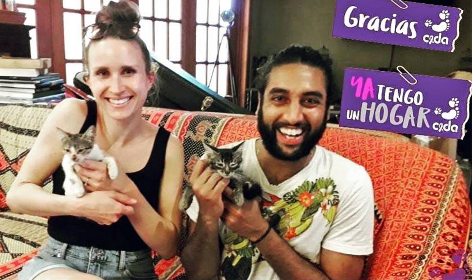 A couple pose with their newly adopted kittens from Cuba A couple pose with their newly adopted kittens from Cuba