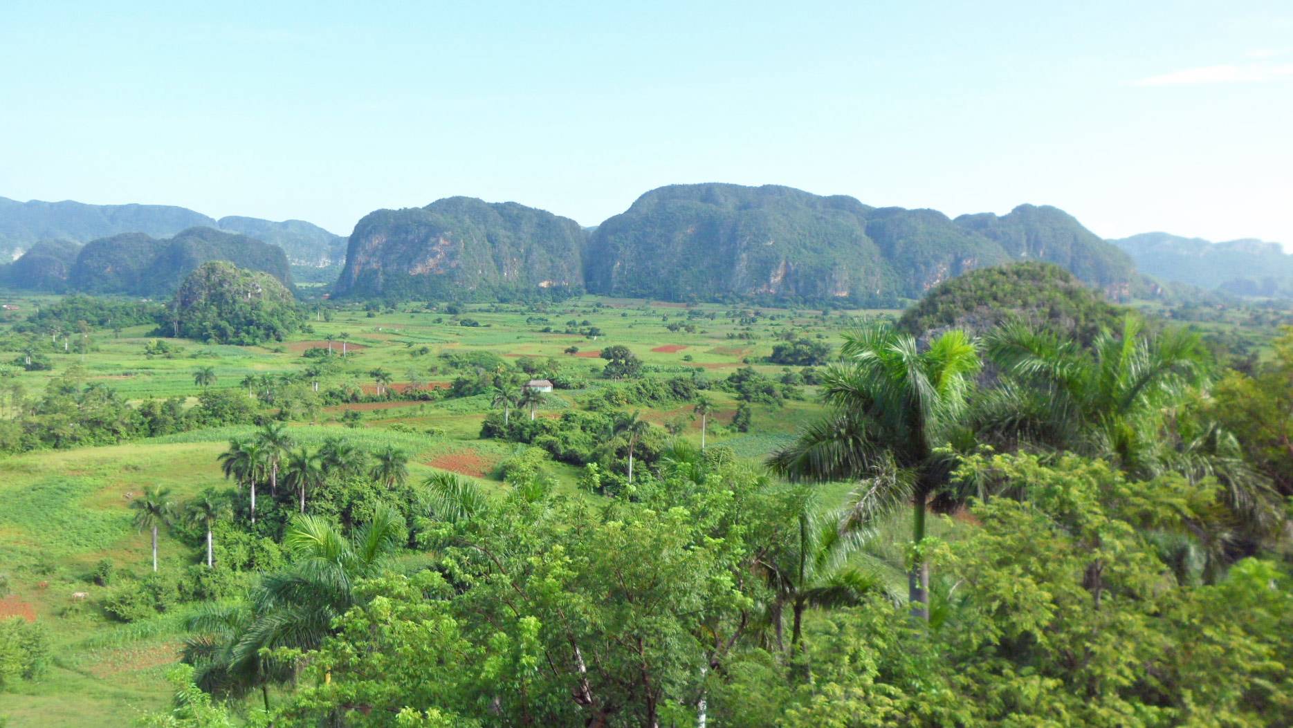 A view of the pincushion hills of the Vinales valley in Cuba A view of the pincushion hills of the Vinales valley in Cuba