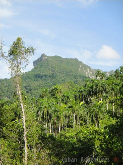 Baracoa nature Baracoa nature