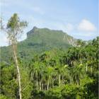 Baracoa nature Baracoa nature