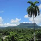 Baracoa Palma Real Baracoa Palma Real
