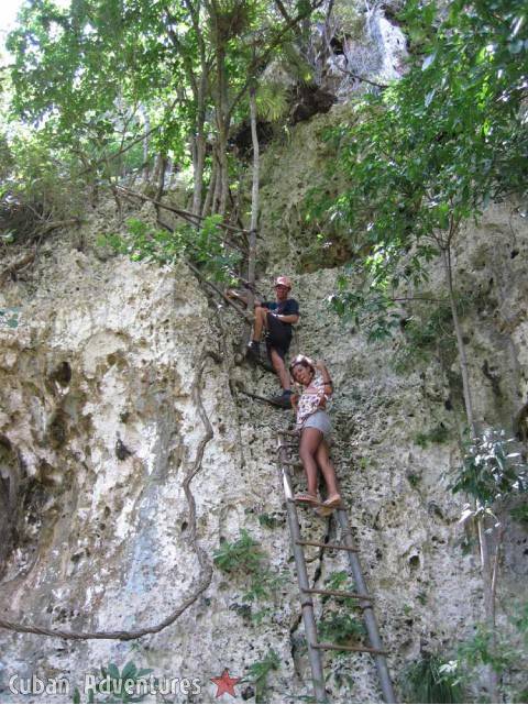 Baracoa scaling Baracoa scaling