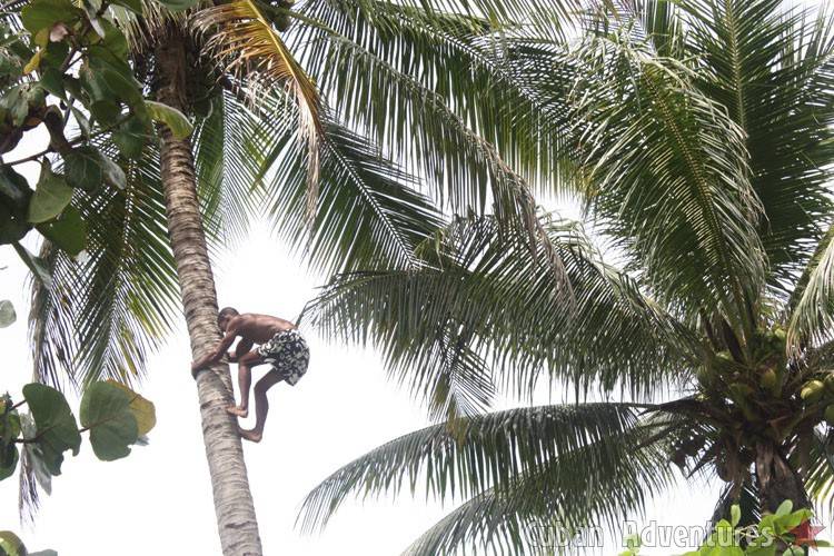 Baracoa trep Baracoa trep