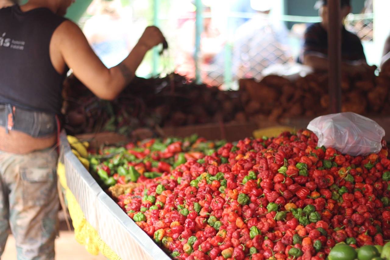 Cachuca peppers are very mild and commonly used in potaje (bean stew) Cachucha peppers for sale at a market stall in Havana, Cuba