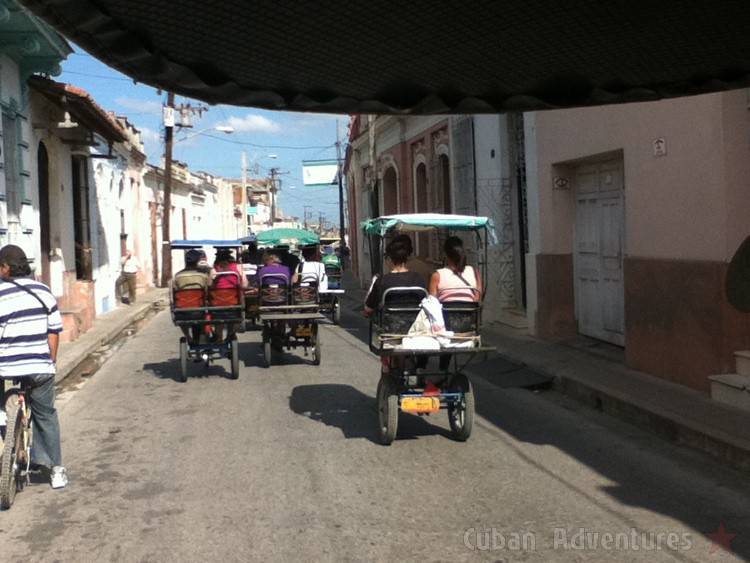 Camaguey race Camaguey race