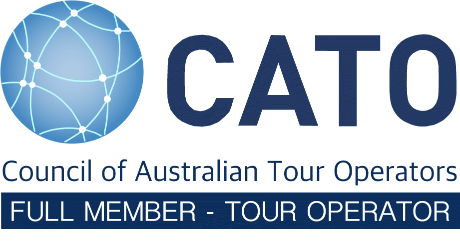 CATO white logo CATO white logo