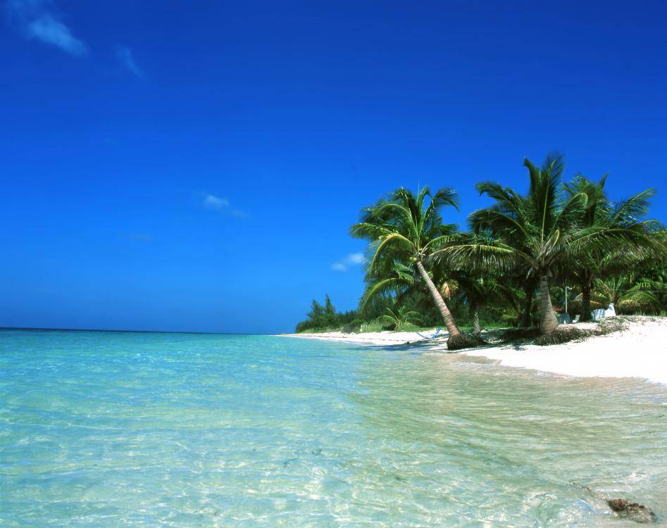Cayo Levisa Cayo Levisa