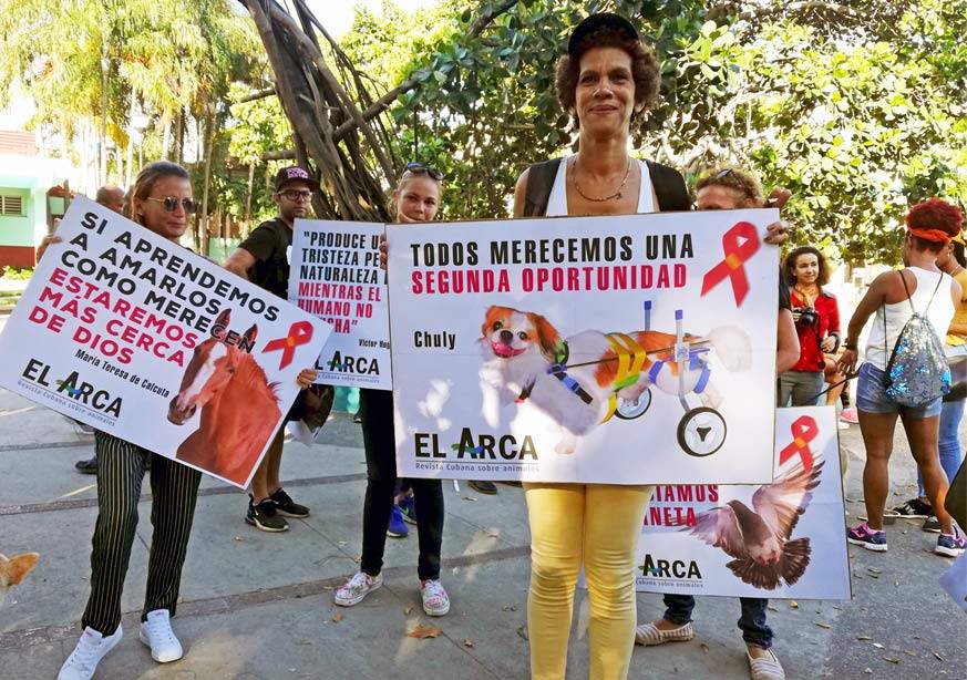 Cubans protesting against cruelty to animals Cubans protesting against cruelty to animals