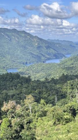 CY251130STANTON | Charlotte Stanton