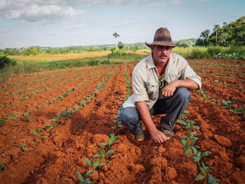 Farmer working Farmer working