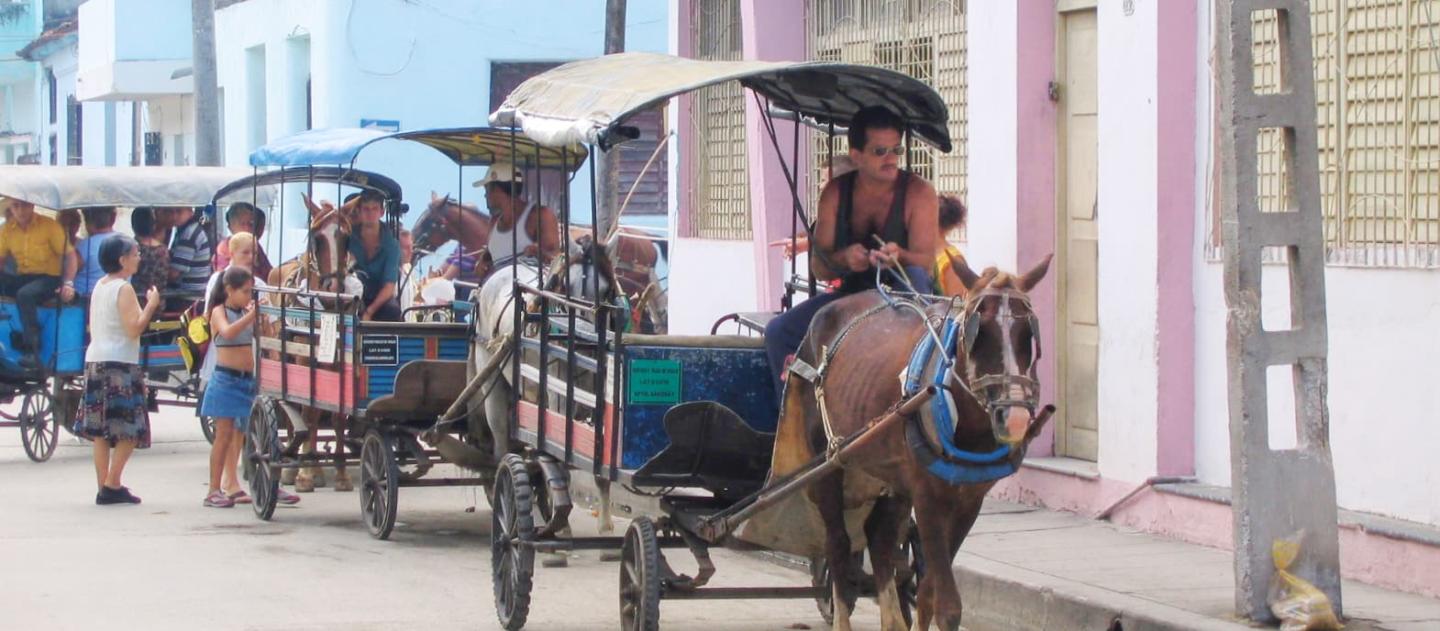 Horse Carriages in Santa Clara, Cuba