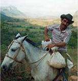 Horse-riding in Vinales Horse-riding in Vinales