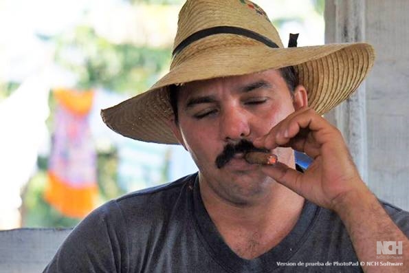 A Cuban farmer smokes a cigar