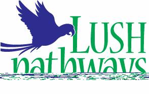 Lush pathways Lush pathways