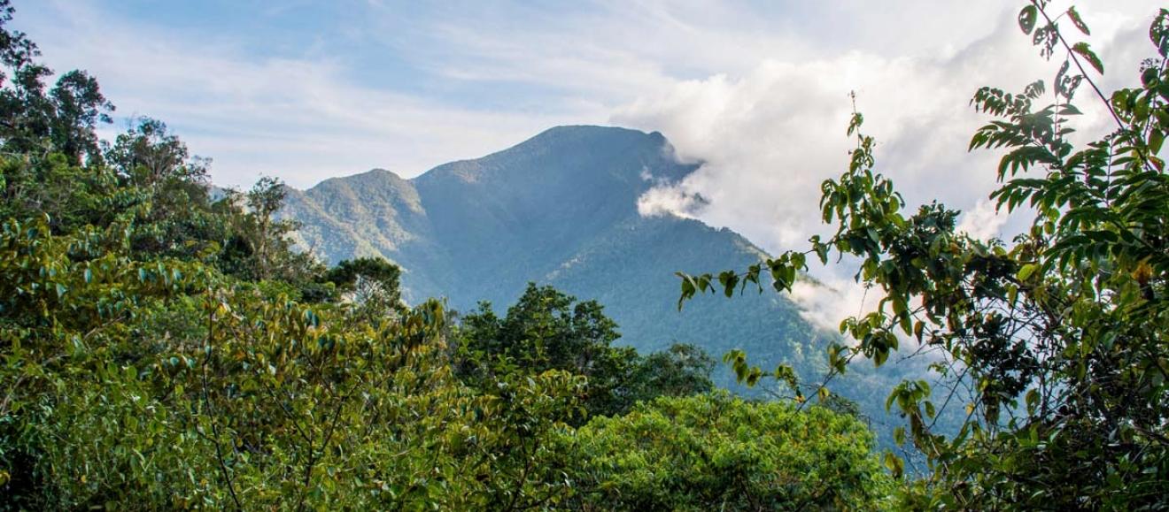 O Pico Turquino é a montanha mais alta de Cuba