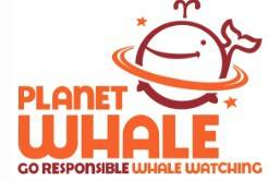 Planet whale Planet whale