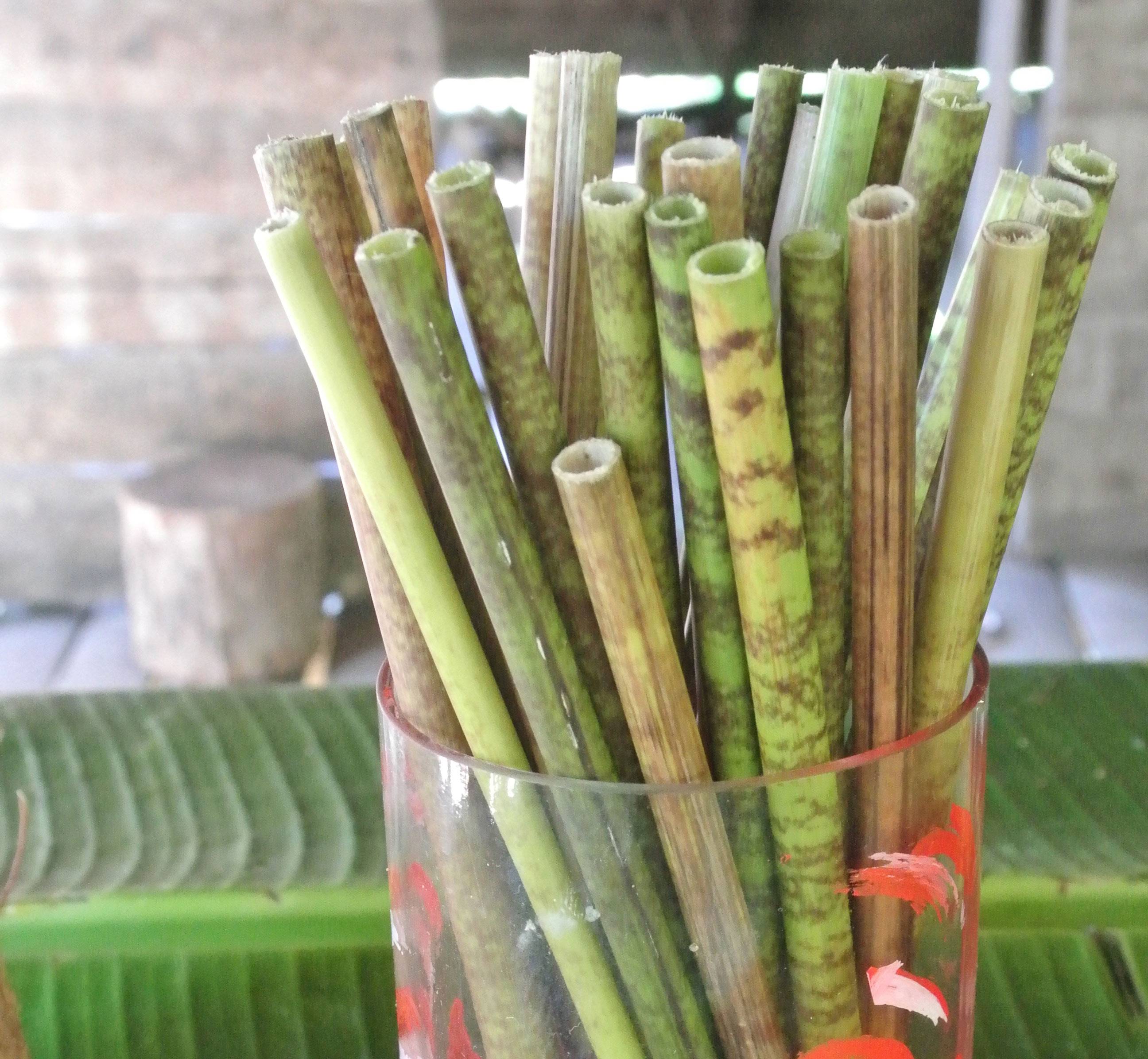 plastic - straws plastic - straws