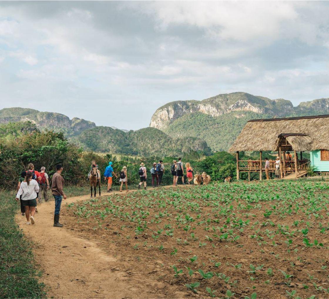 Popular Vinales