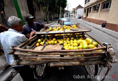 Santiago de Cuba fruits Santiago de Cuba fruits