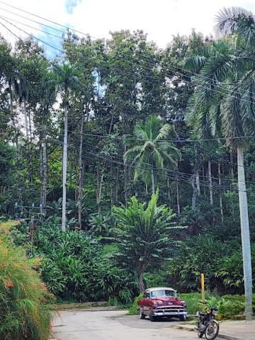 SCP9251123HERIN | Ms Liberte Herin