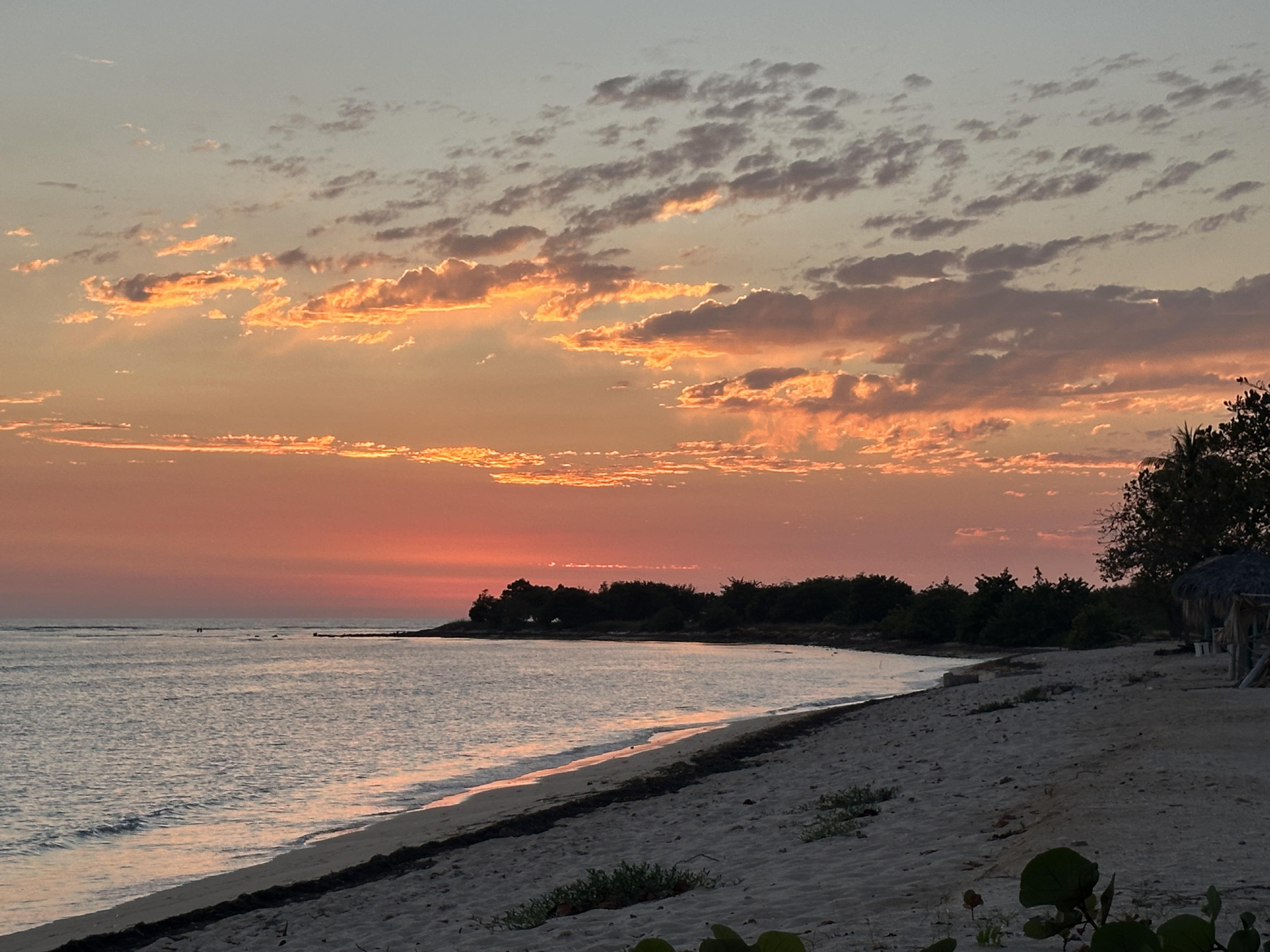 SCP9260215FRIEDMANNARR | Ms Rachel Friedman Narr