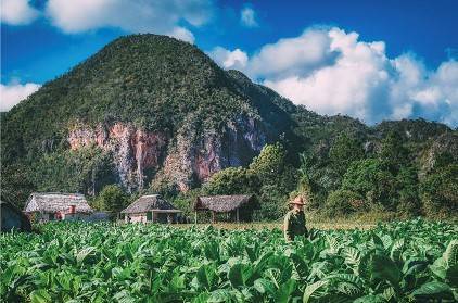 Take a break from city life in lush green Viñales a Viñales tobacco farm