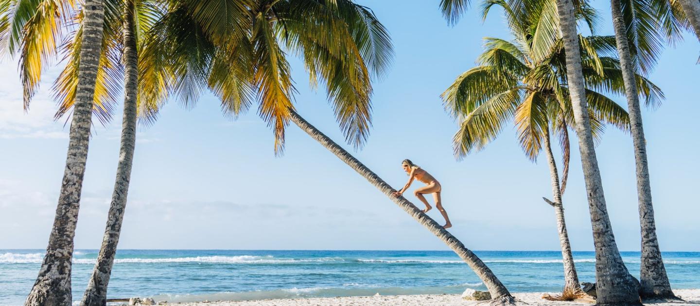 A white sand beach with coconut trees at the Bay of Pigs in Cuba