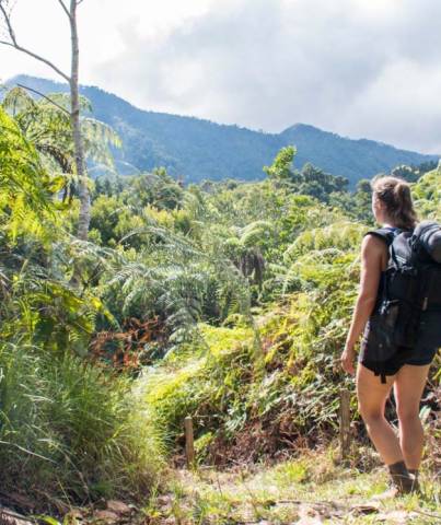 A woman treks along the trail towards Pico Turquino, Cuba