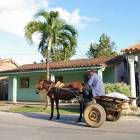 Viñales Viñales