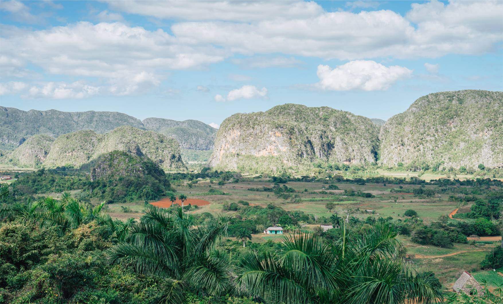Vinales 2