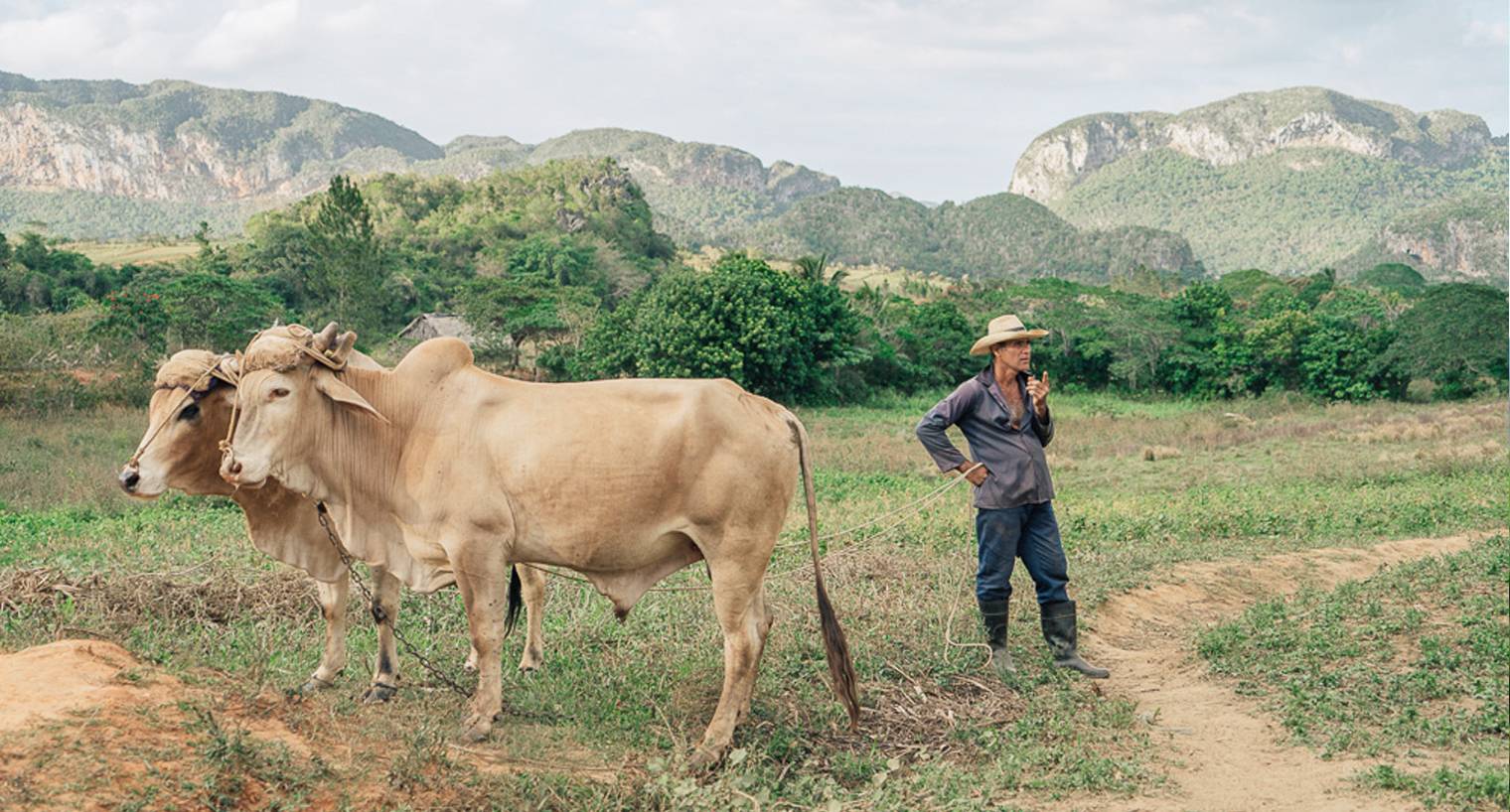 vinales-6 vinales-6