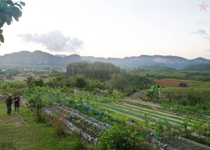 Viñales Farm Viñales Farm