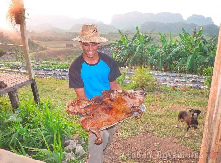 Viñales Puerco Viñales Puerco