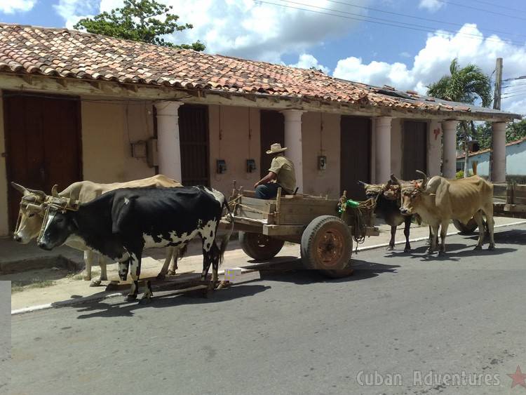 Viñales street Viñales street