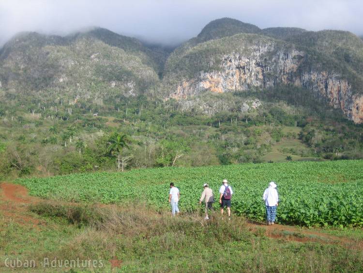 Viñales stroll Viñales stroll