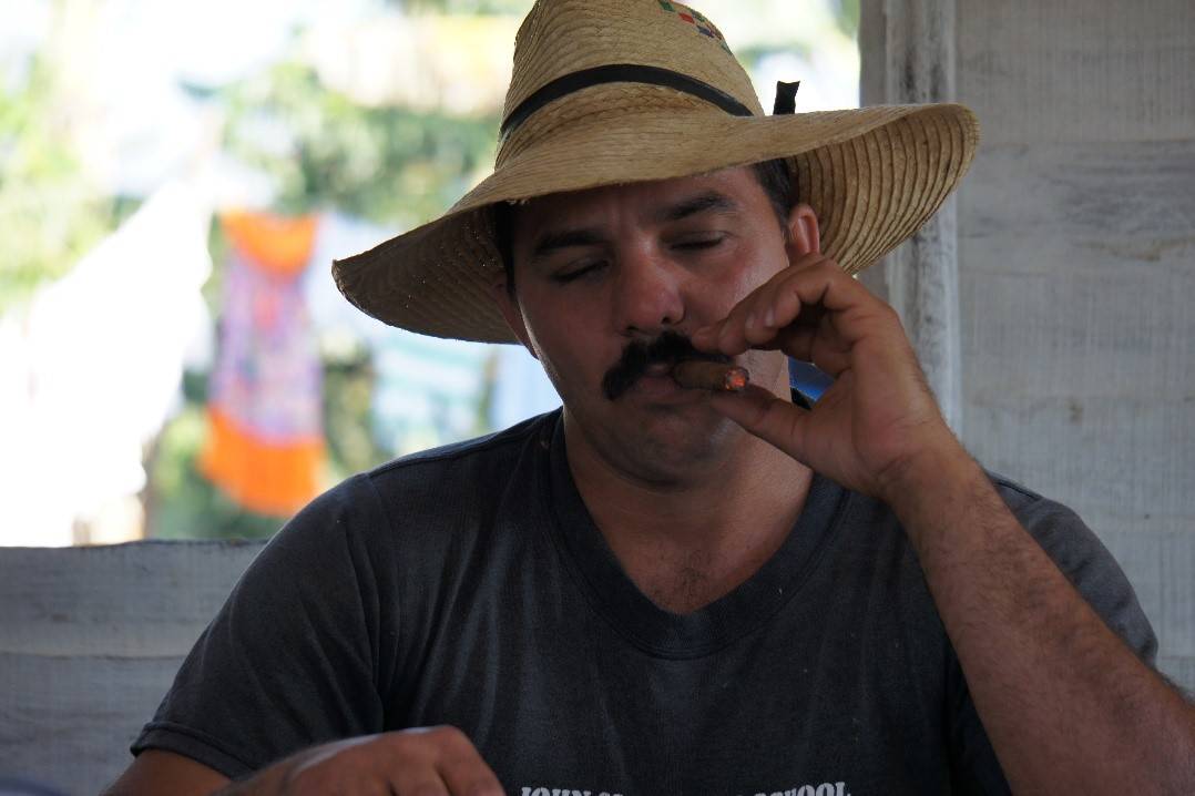 Viñales tobacco farmer enjoying the fruits of his labor a Cuban farmer smokes a cigar