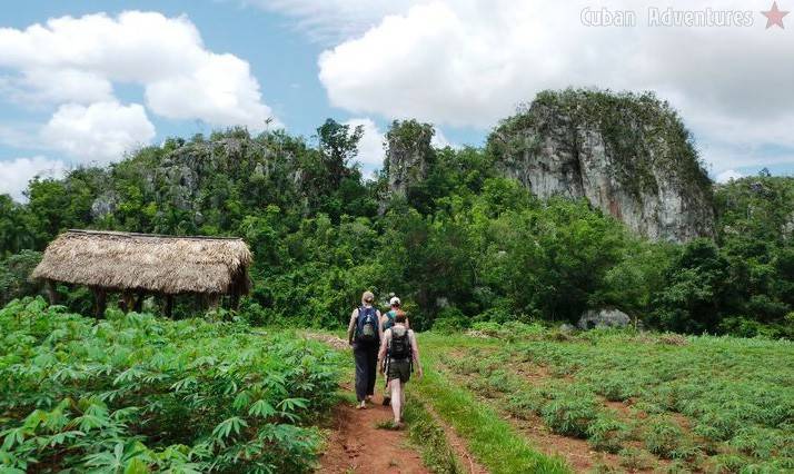 Viñales Walk Tour Viñales Walk Tour