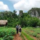 Viñales Walk Tour Viñales Walk Tour