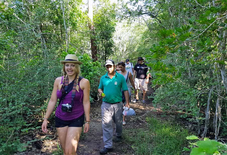 Walking through the dense forest on the Bay of Pigs Walking through the dense forest on the Bay of Pigs