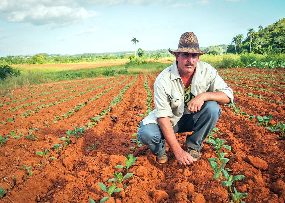 why us - expertise in cuba why us - expertise in cuba